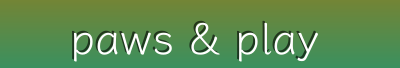 Paws & Play Gear | Pet Sales & Specials | Pet Water Fountains, Dog Boots, Interactive Toys & More
